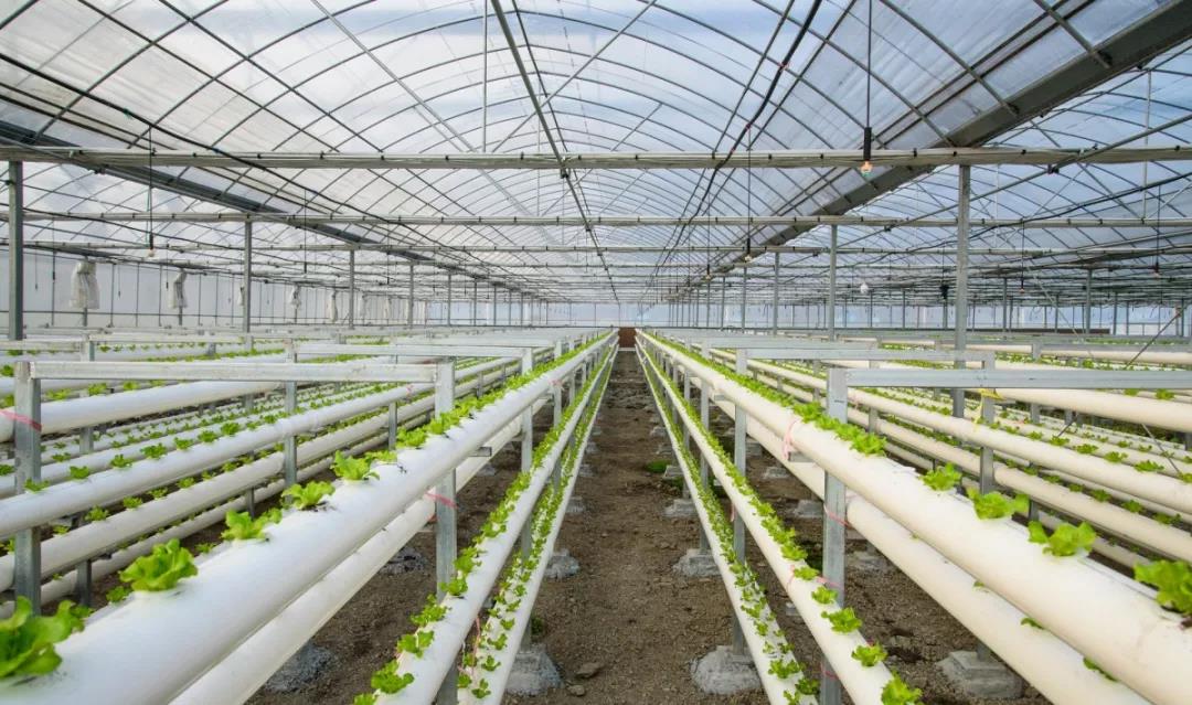 1682656633706268.jpg 9e622f724834b45d6362d72613980e9c.jpg