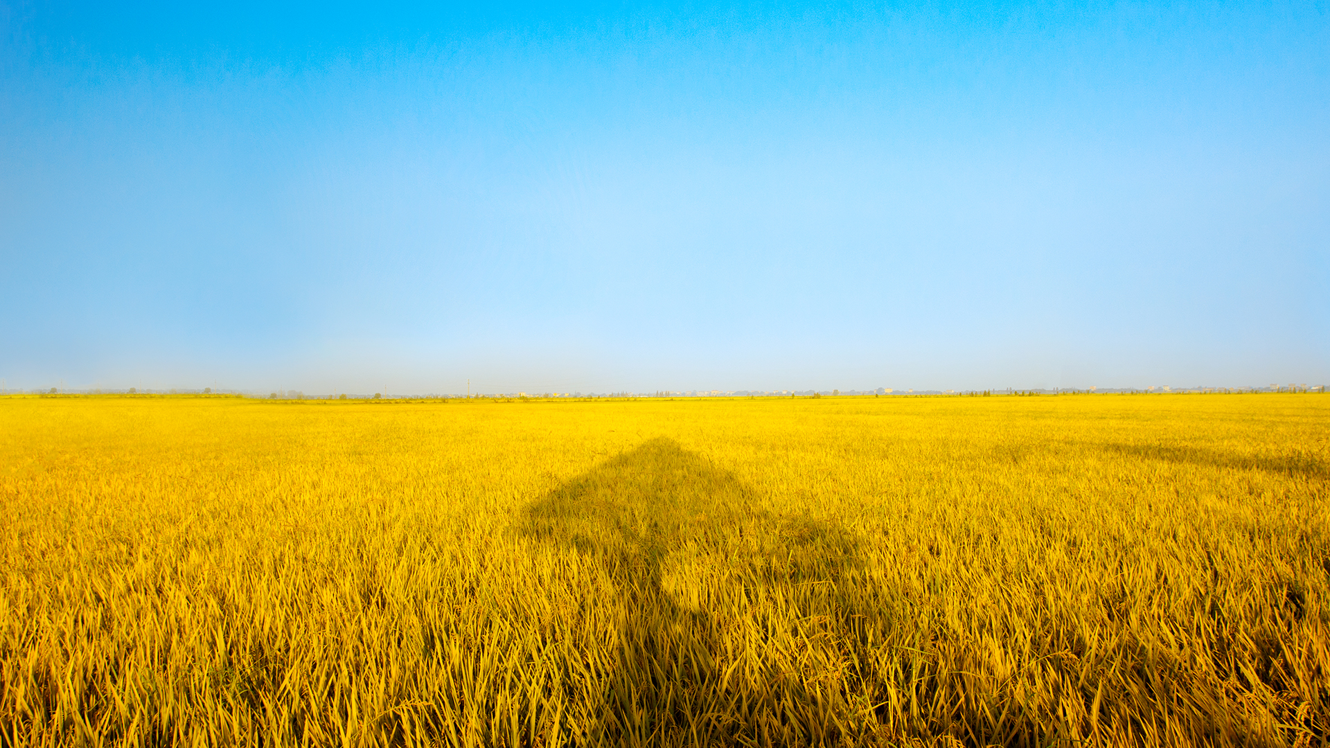 1682657092130217.jpg 1682657092130217.jpg