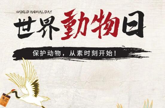 素時刻丨保護動物，從素食開始