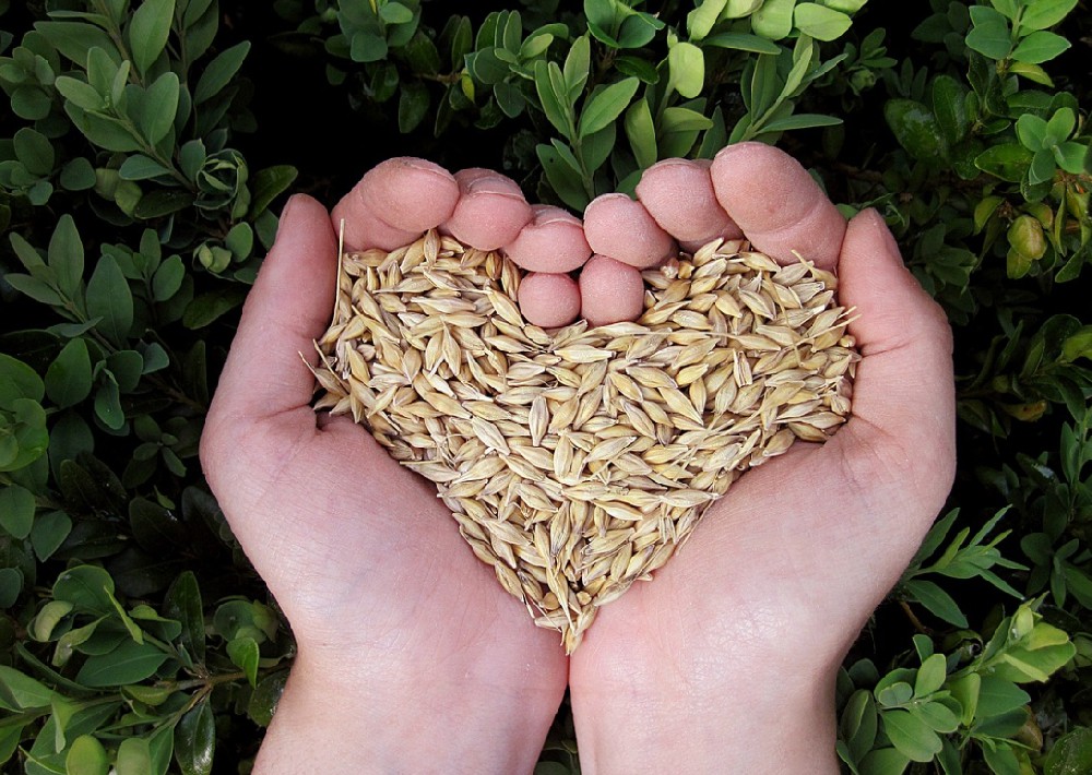 素時刻：植物營養與人類健康
