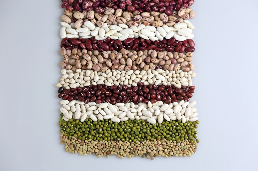 素時刻五谷膳食粉——食物是最好的藥物