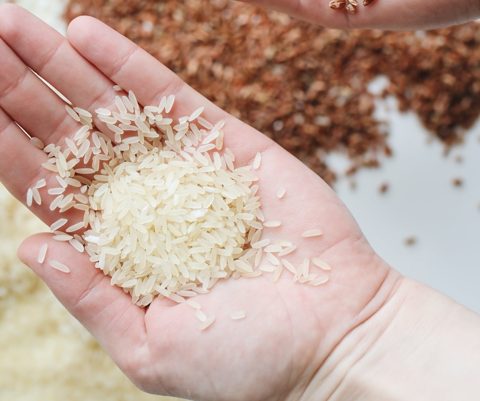 揭秘平凡中的卓越：深入了解素時刻五谷膳食粉