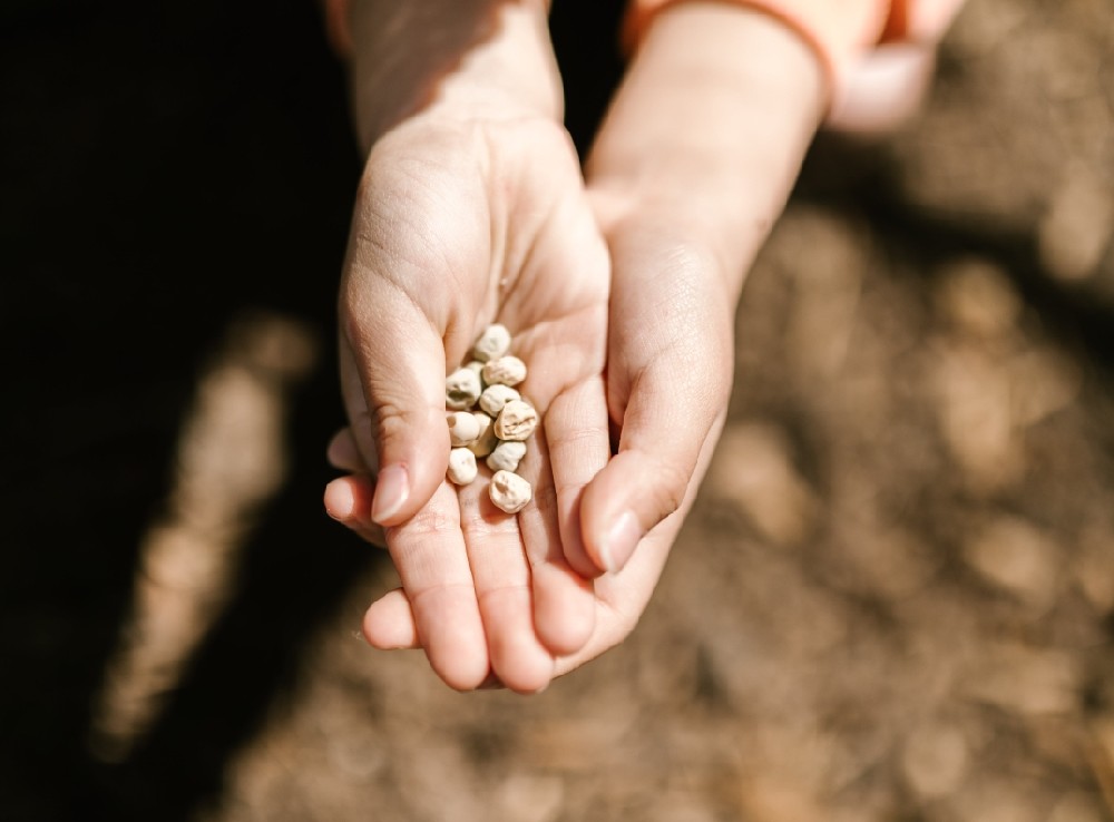 氣溫驟降腸胃“罷工”？一招安撫腸胃小情緒