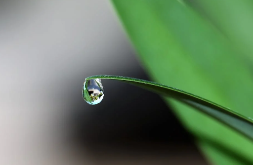 素時刻五谷膳食粉:：取自然之物，養自然之身