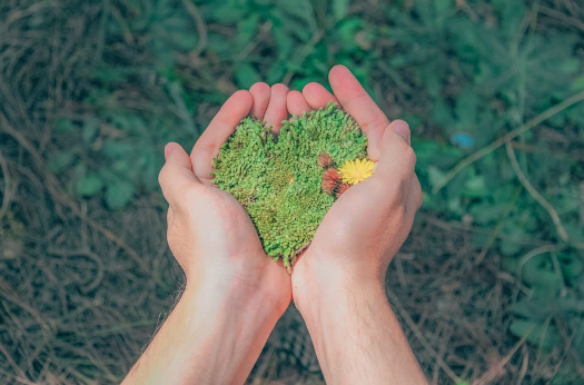 好喝不發胖的雜糧粥，199種食材精心搭配一口吃下多種營養