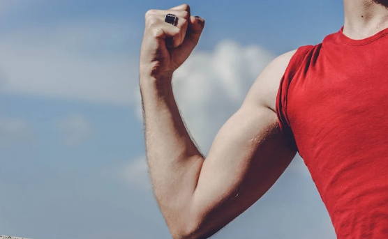 素食與健康：健康是人生最大的財富